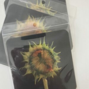 Sunflower Lenticular Coaster -10 units